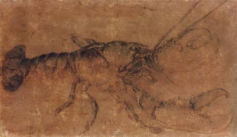 Albrecht Durer A Lobster oil painting picture